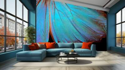 Wings of a butterfly Morpho texture background. Morpho butterfly. Wall mural