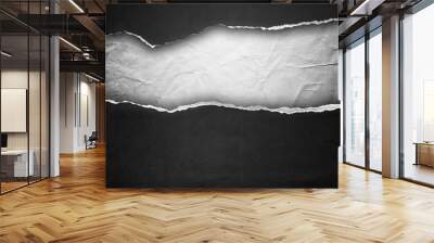 riped black paper background Wall mural