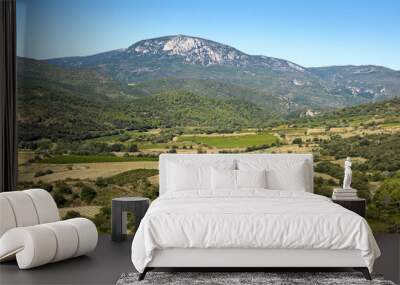 Rural landscape from south-west France Wall mural