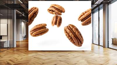 Falling pecan nuts isolated on white background with clipping path Wall mural