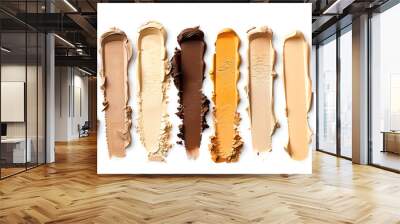 Foundation of different textures and shades for various skin types isolated on white. Set with samples of makeup product Wall mural