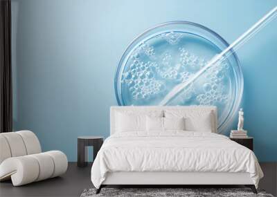 Glass pipette and petri dish with liquid on light blue background, closeup Wall mural