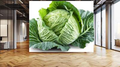 Green cabbage isolated on white background with clipping path and full depth of field Wall mural