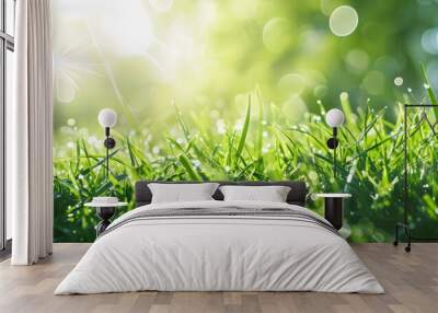 Green grass and sunlight banner background Wall mural