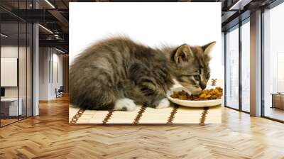 Small kitten eating dry cat food. Wall mural