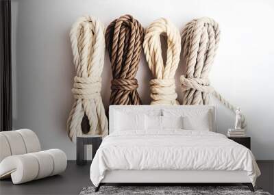 Many different ropes isolated on white. Unity concept Wall mural