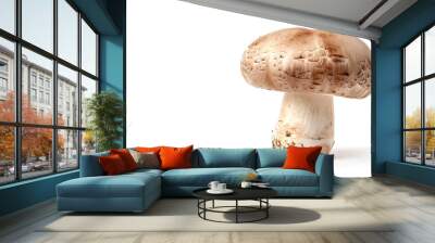 Mushroom champignon isolated on white background Wall mural