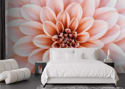  Defocused pastel, peach, coral dahlia petals macro, floral abstract background. Close up of flower dahlia for background, Soft focus. Wall mural