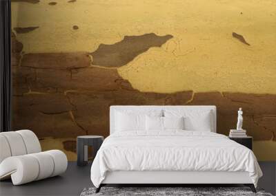 Artistic texture of tree bark yellow and brown layer. 
Contrast of texture and color. Wall mural