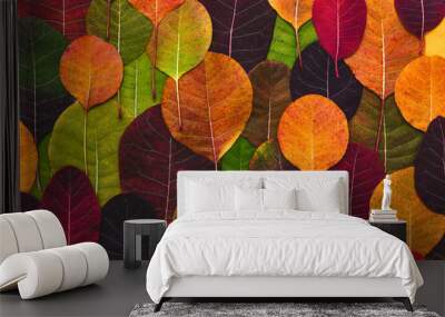 Colorful background made of fallen autumn leaves. Wall mural