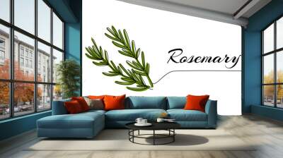 Continuous one line drawing of rosemary. Modern style vector illustration on isolated background. Wall mural