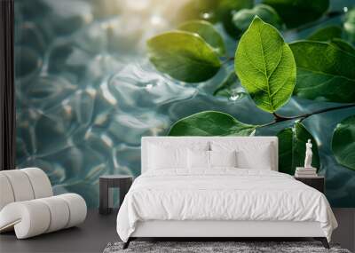 green leaves in clear water, spring Wall mural