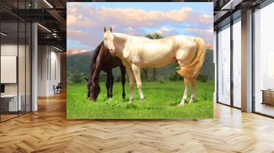 horse in the field, the most beautiful horse in the world grazing with a friend, a horse for a million dollars walks at sunset Wall mural