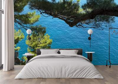 Pine trees above blue sea  Wall mural