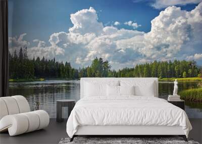 An island on Suna river, Karelia, Russia Wall mural