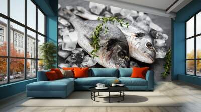 Fresh fish dorado Wall mural