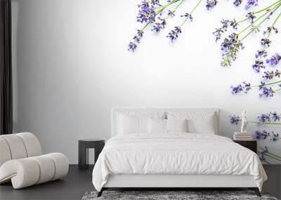 Lavender flowers on white background. Flowers flat lay, top view. Wall mural