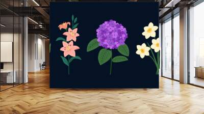 Set of summer flowers. Blossomed aster, daffodils, lilly, forget me not, calla, hydrangea. Hand drawn vector illustration isolated on black background, modern flat cartoon style. Wall mural