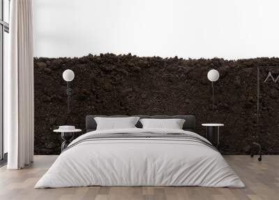 Soil patch texture isolated. Earth Day - April 22	 Wall mural