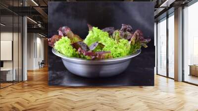 variety of fresh salad leaves in a metal bowl on a black abstract background. healthy concept. Wall mural