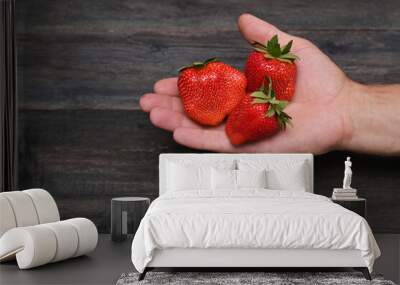 three big strawberries in a hand on a wooden background. Wall mural