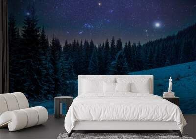 Beautiful night in winter. Mountain landscape Wall mural