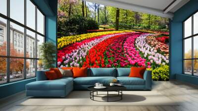 Blooming flowers in Keukenhof park in Netherlands, Europe. Wall mural