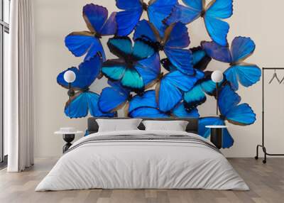 Blue butterflies isolated on white Wall mural