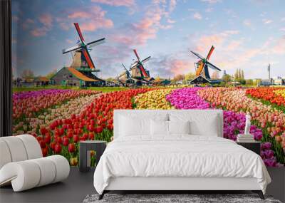 Landscape with tulips in Zaanse Schans, Netherlands, Europe Wall mural