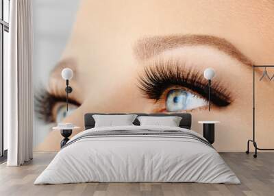 Female eye with extreme long false eyelashes and black liner. Eyelash extensions, make-up, cosmetics, beauty Wall mural