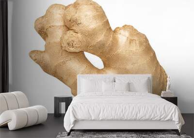 Ginger root isolated. One whole ginger root Wall mural