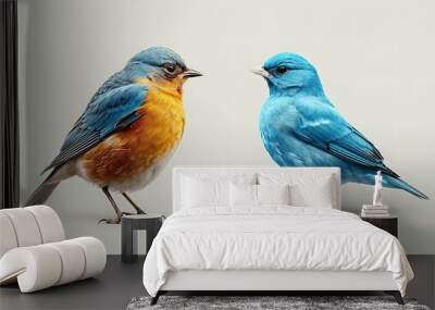 teo colorful birds on white background  Wall mural