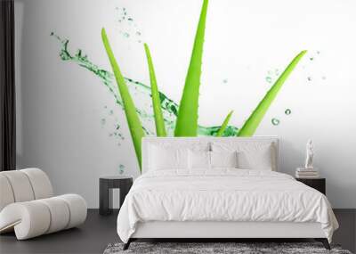 Leaf of Aloe Vera plant isolated on white or transparent background. Wall mural