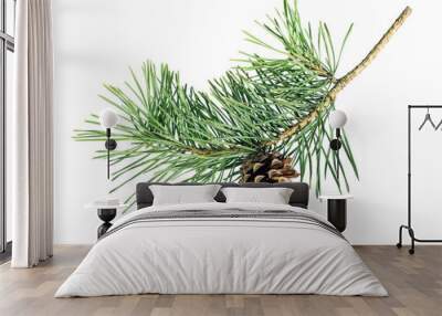 Pine tree branch with cone isolated on white background Wall mural