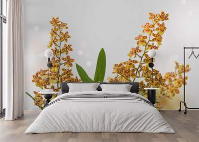 Oncidium hybrid, Cambria yellow and brown Wall mural