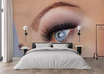 Woman eye with long eyelashes and smokey eyes make-up. Eyelash extensions, makeup, cosmetics, beauty Wall mural