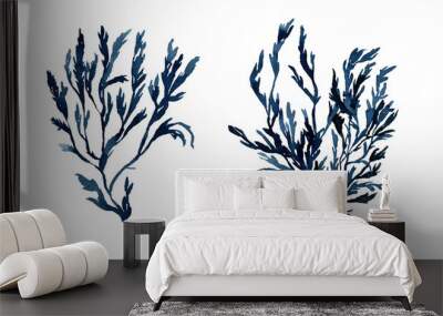 Watercolor seaweed. Hand painted illustration of algae. Blue water plant. High quality illustration Wall mural