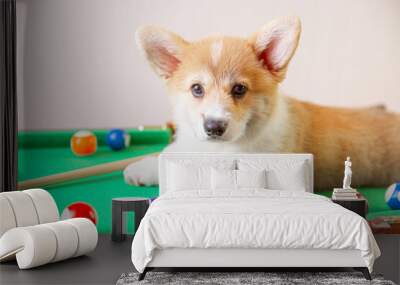 corgi puppy on the table for playing billiards Wall mural