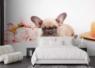 French bulldog puppies with a straw hat on a white background with a bouquet of spring flowers , cute pets Wall mural