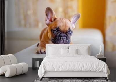 French bulldog puppy at home Wall mural