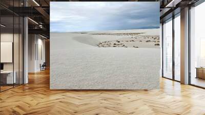 sand dunes on the beach Wall mural