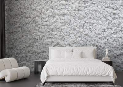 Karakul texture. Fabric background with gray curls Wall mural