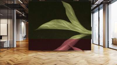 Bicolor leaves red and green art illustration. Noise grainy photo. Beautiful peony leaves background Wall mural