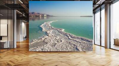 Dead Sea Wall mural