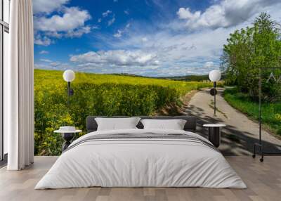 Fields in Lower Austria in spring Wall mural