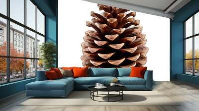 Sugar pine cone isolated on transparent background Wall mural