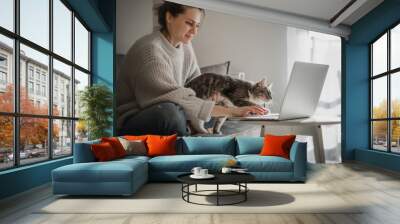 Beautiful cheerful young woman with cute gray cat working on laptop while sitting on sofa, remote work and online education concept Wall mural