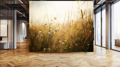 Grass and wildflowers in sunlight in medow. Natural background and texture. Retro image tone Wall mural