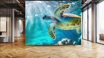   A close-up of a sea turtle swimming in a body of water with sunlight streaming through the water behind it Wall mural