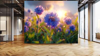   A field filled with blue flowers Sun shines through the clouds in the background Wall mural